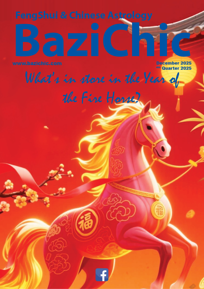 Bazichic December 2025